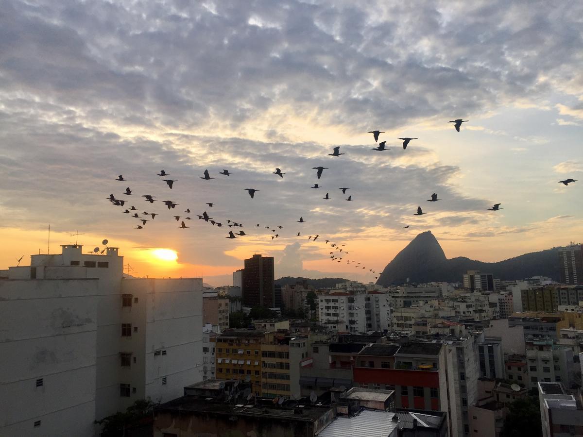 Loft Catete Daire Rio de Janeiro Dış mekan fotoğraf